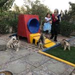 WhatsApp-Image-2021-04-25-at-18.15.58